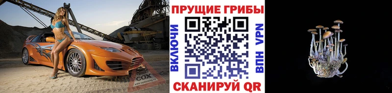 Галлюциногенные грибы прущие грибы  ОМГ ОМГ tor  Серов 